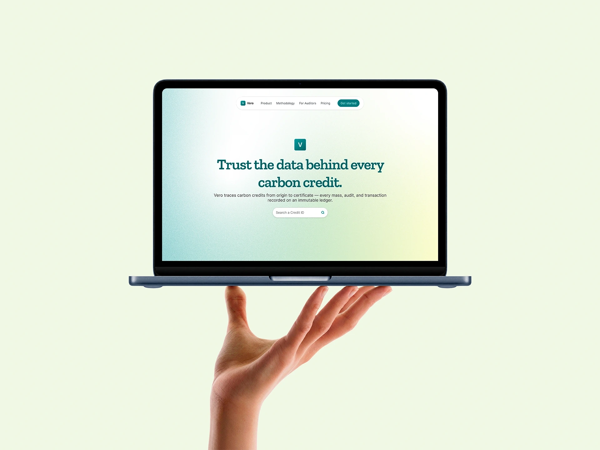 portal / carbon-credit traceability (illustrative)