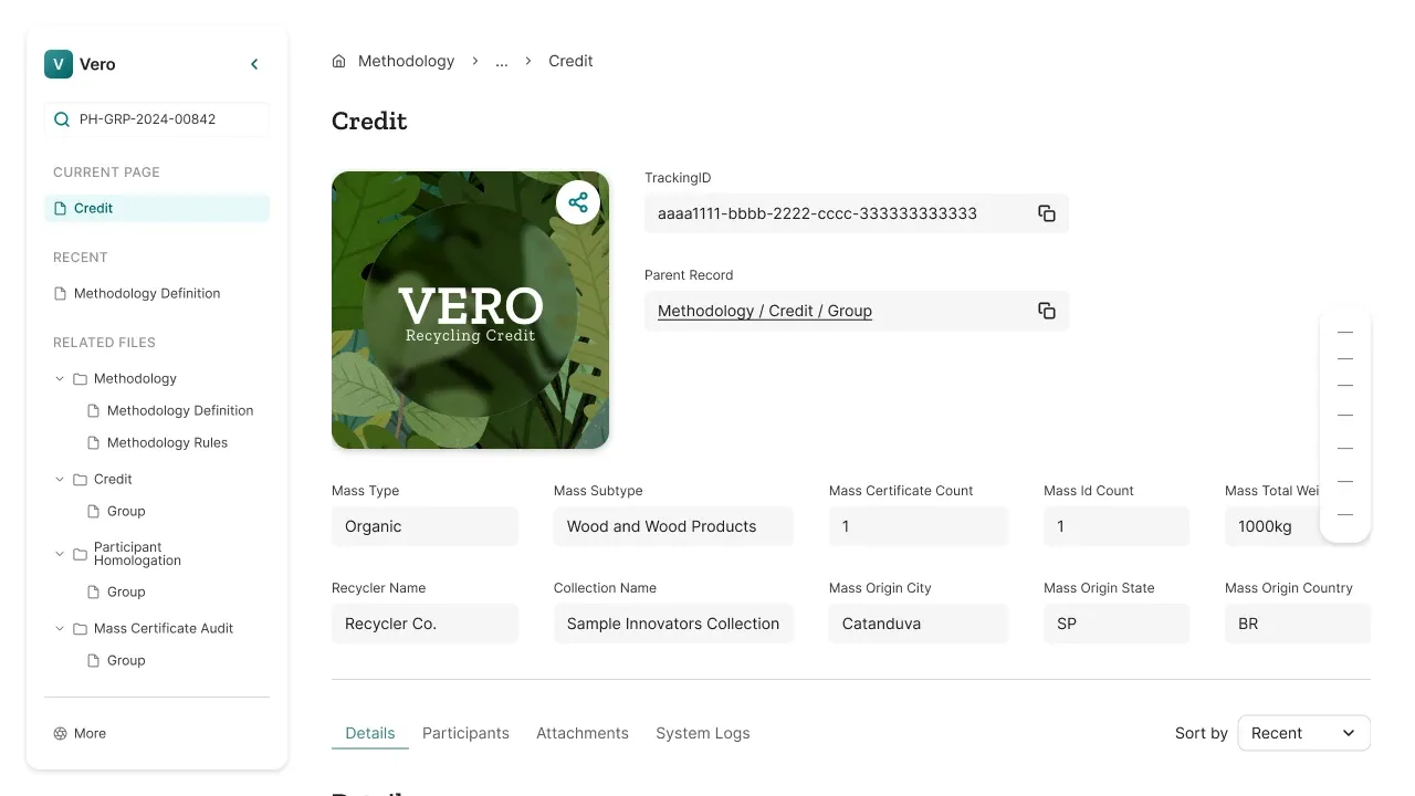 Illustrative Vero screen: a Credit record with its NFT artwork shown inside it